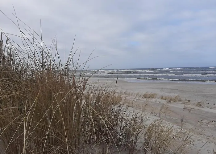 Lipowy Balia-jacuzzi Nyaraló *